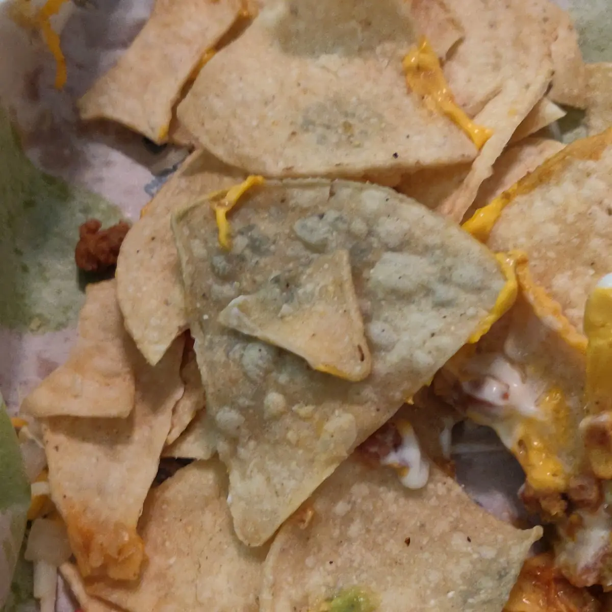 Moldy Nachos Grande