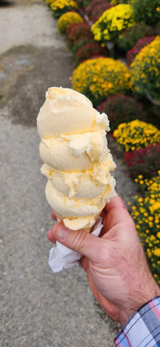 Vanilla Ice Cream Cone