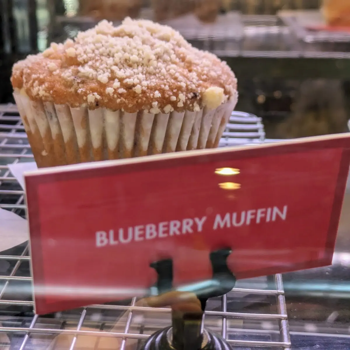 Blueberry Muffin