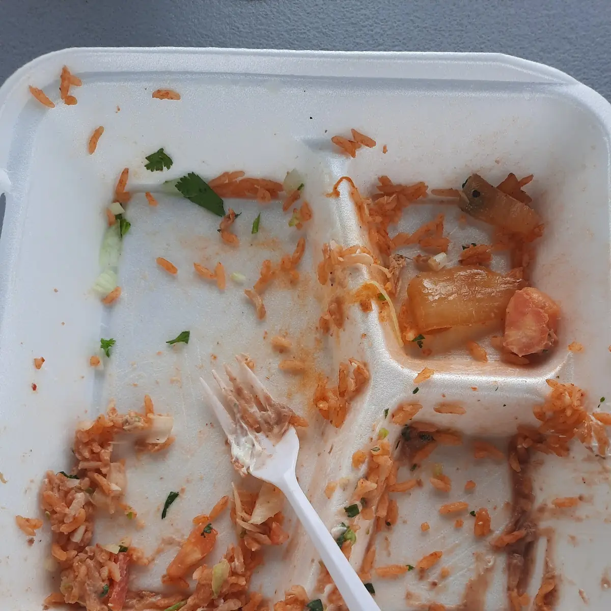 Empty Chicken Taco Plate