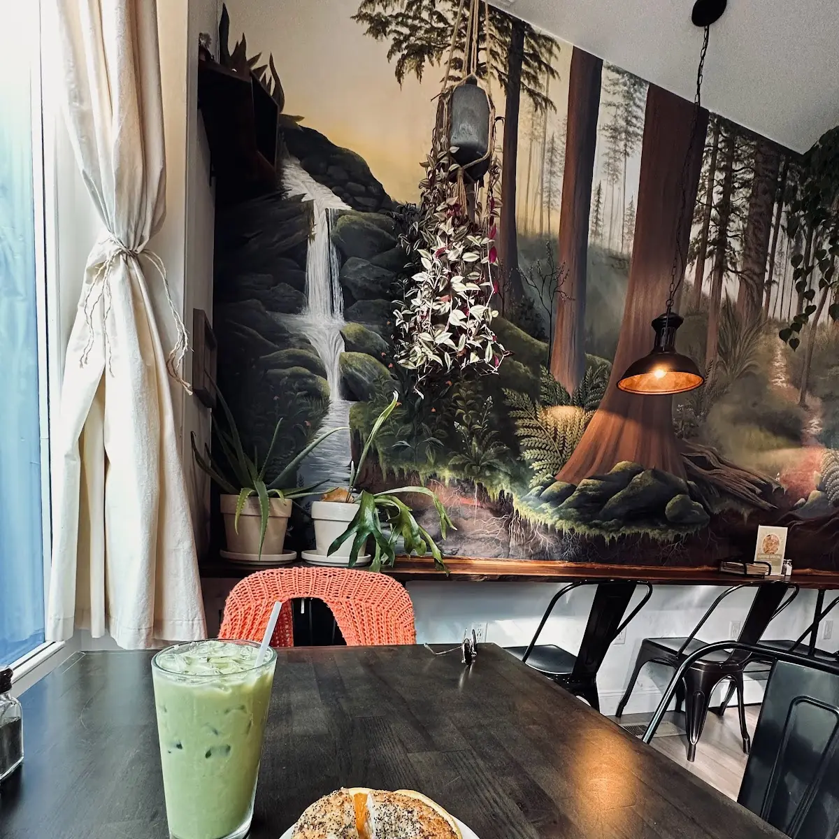Iced Matcha Latte