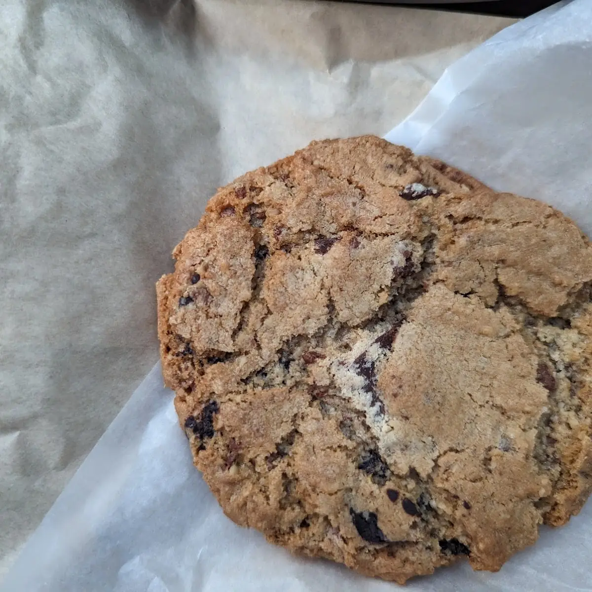 Chocolate Chip Cookie