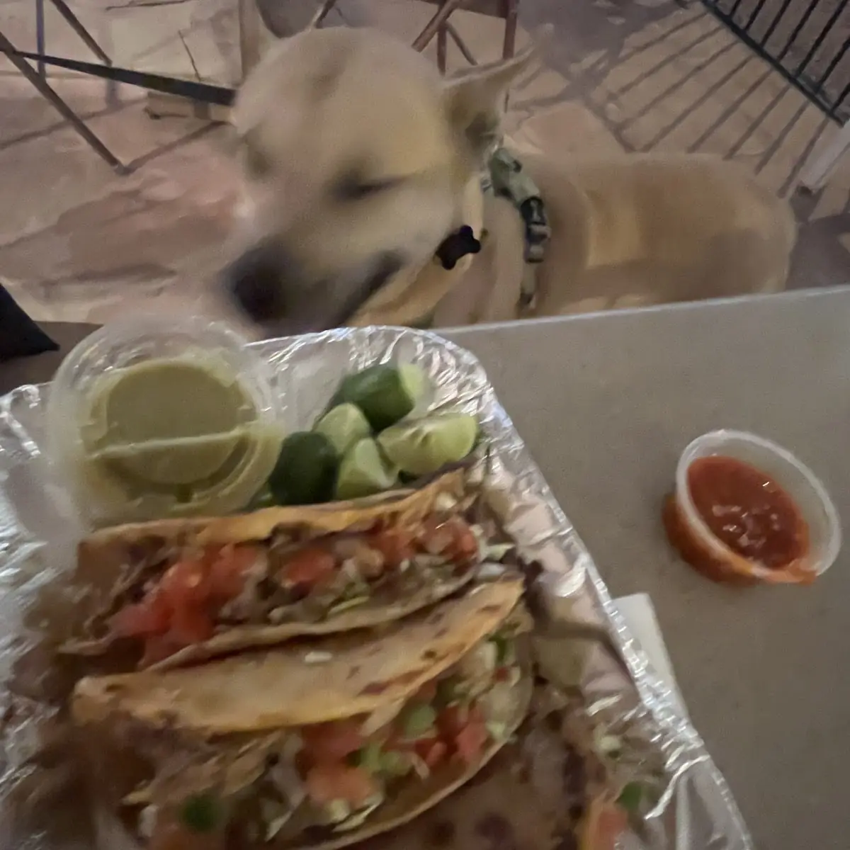 Street Tacos