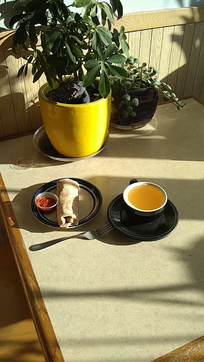Bean Burrito and Apple Cider