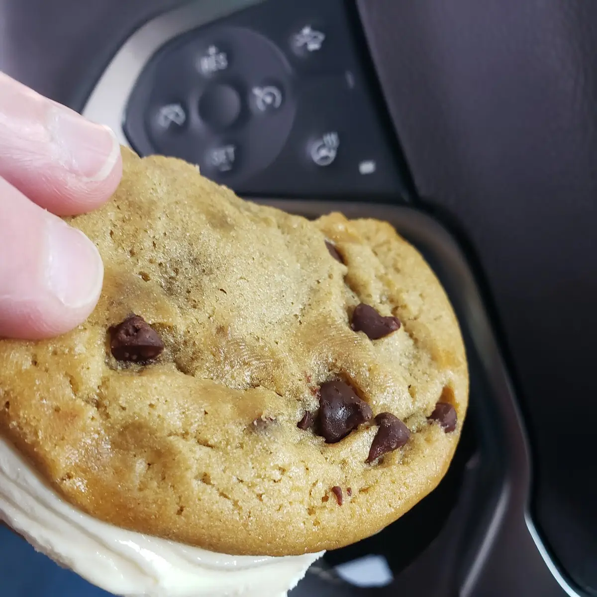 Chocolate Chip Cookie Ice Cream Sandwich