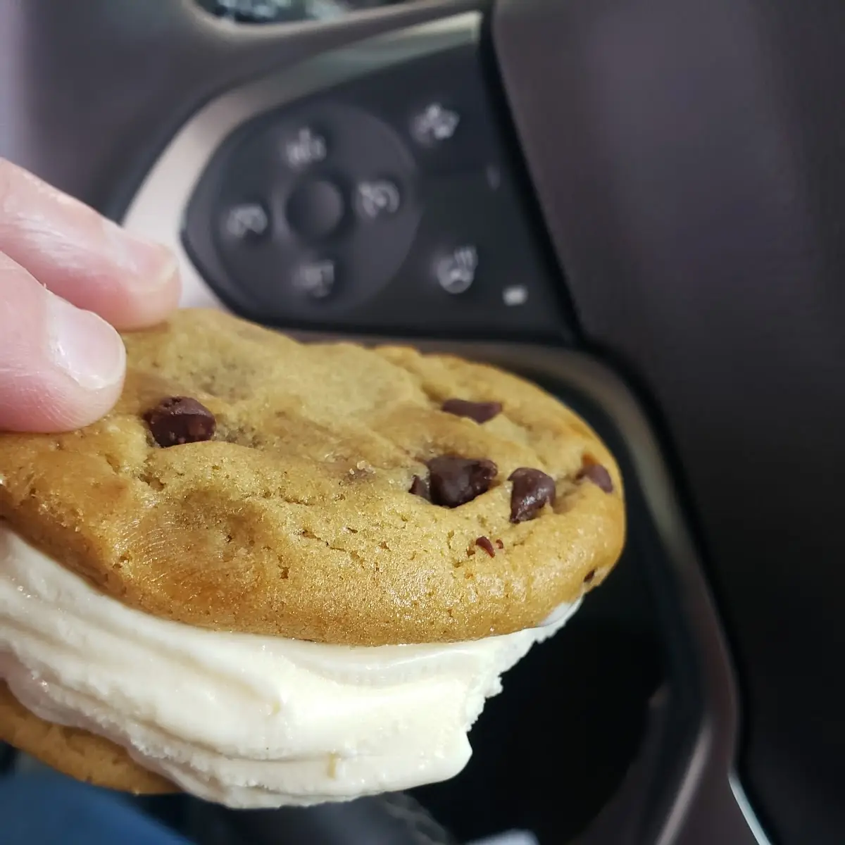 Chocolate Chip Ice Cream Sandwich