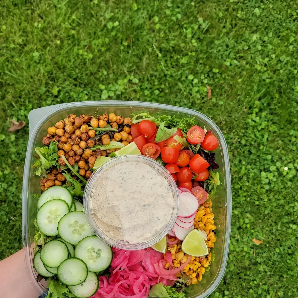 Hummus Box Veg