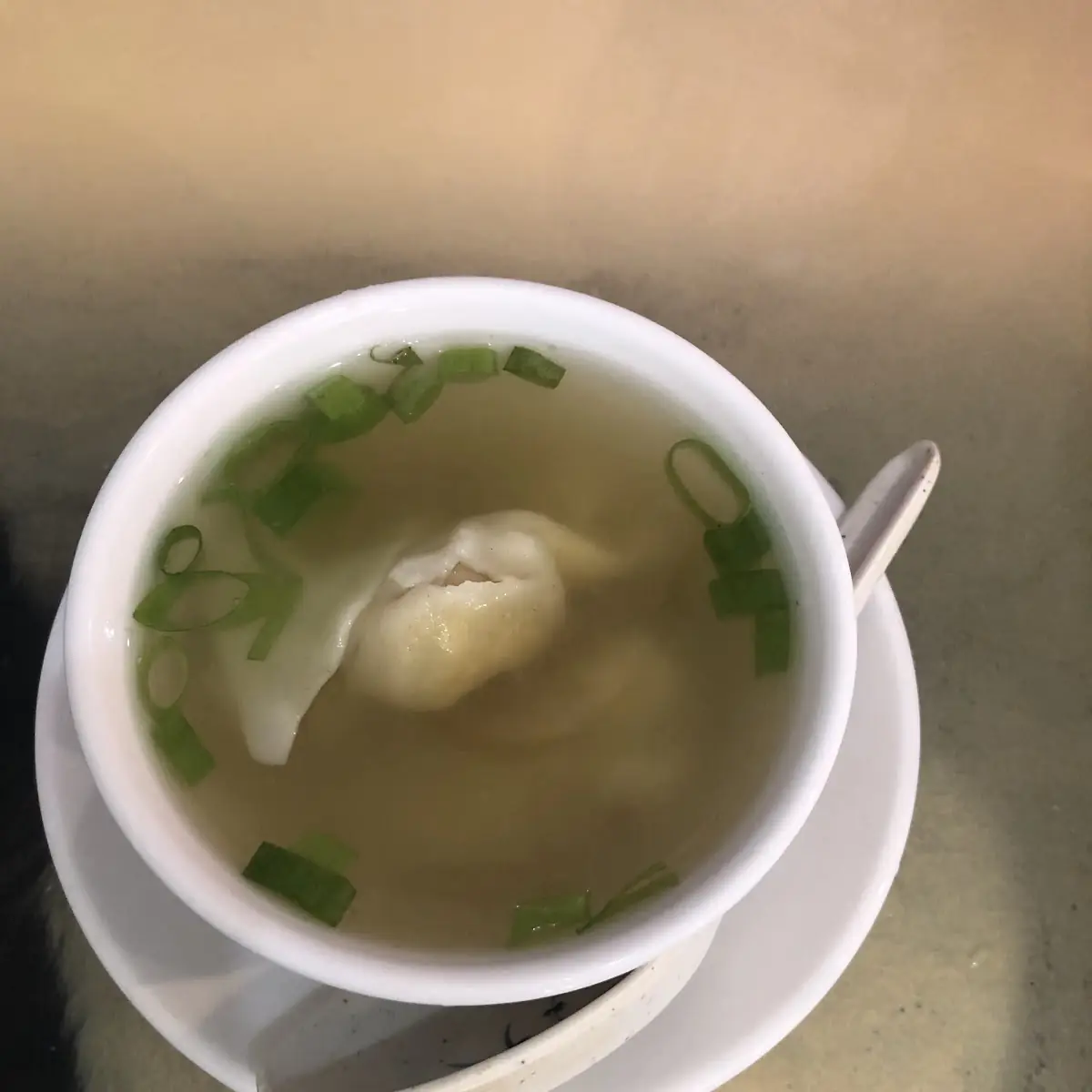 Wonton Soup