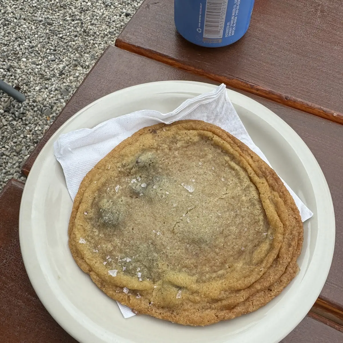 Chocolate Chip Cookie