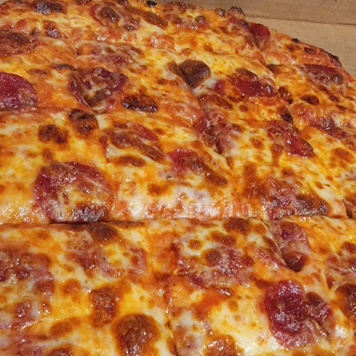 Cheese and Pepperoni Pizza