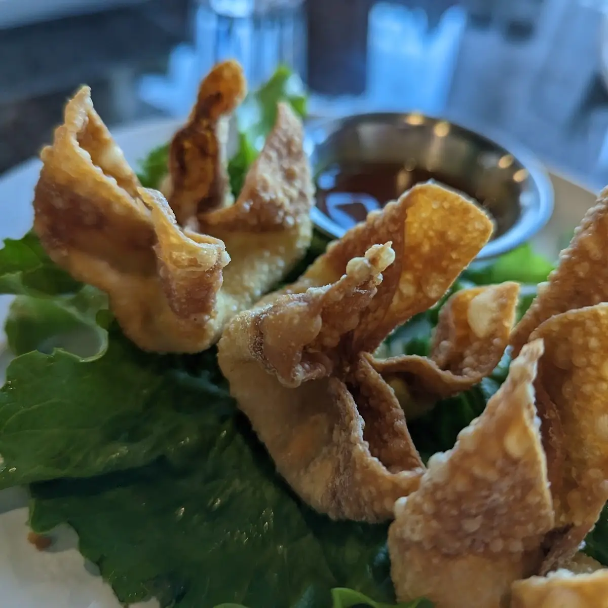 Cheese Wonton 6