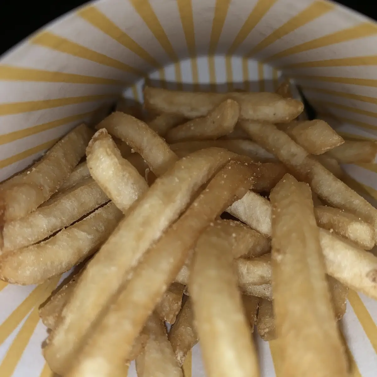 World Famous Fries
