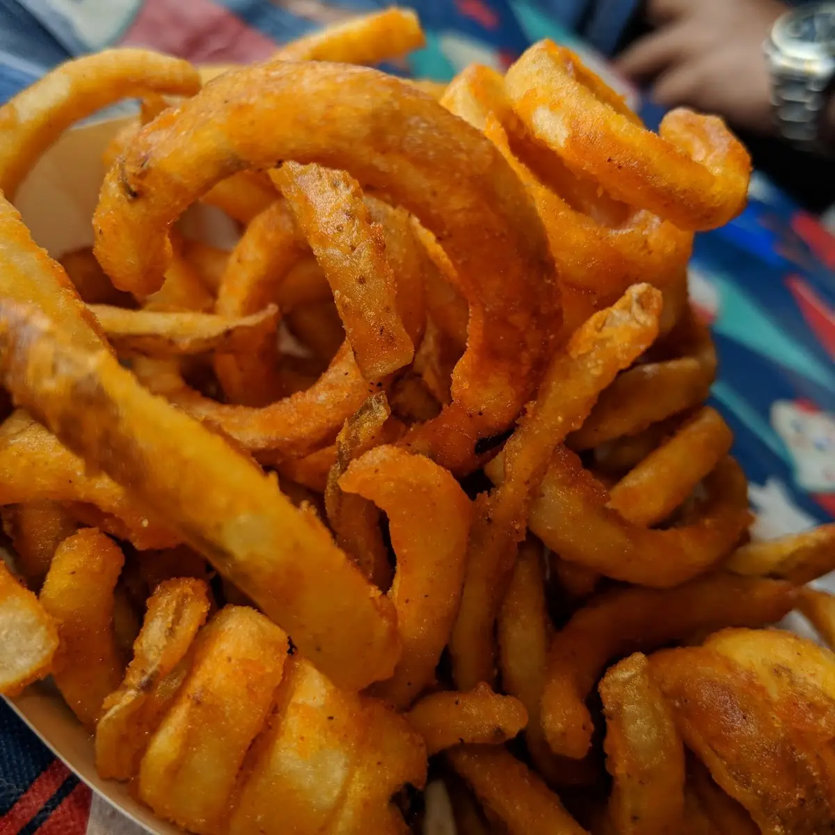 Seasoned Curly Fries