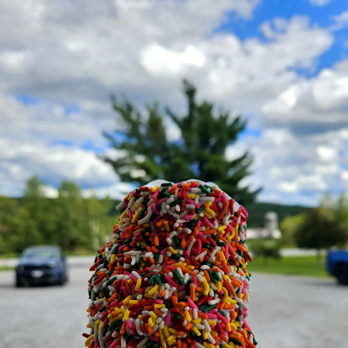 Black Raspberry Creemee with Rainbow Sprinkles