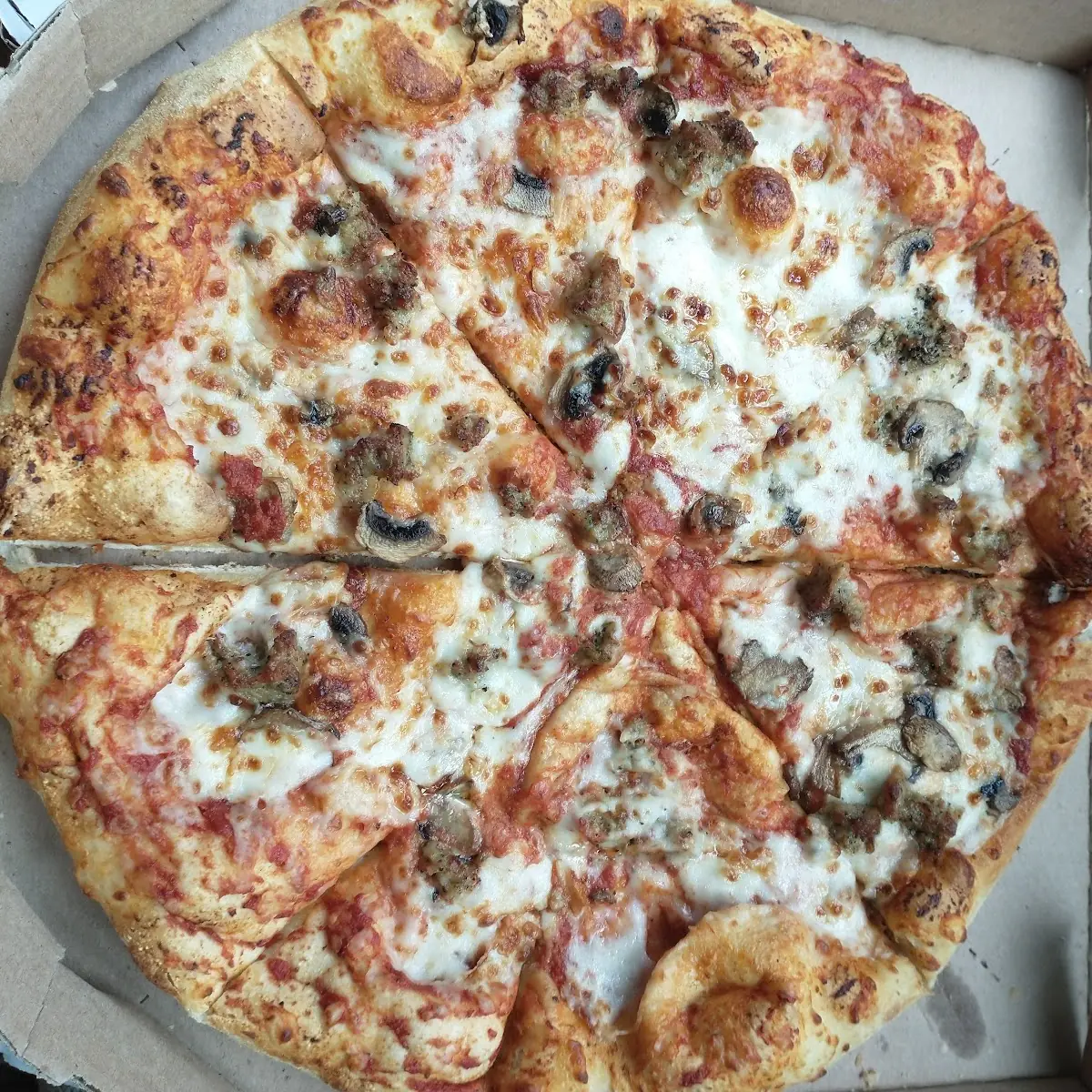 Extra Cheese Pizza