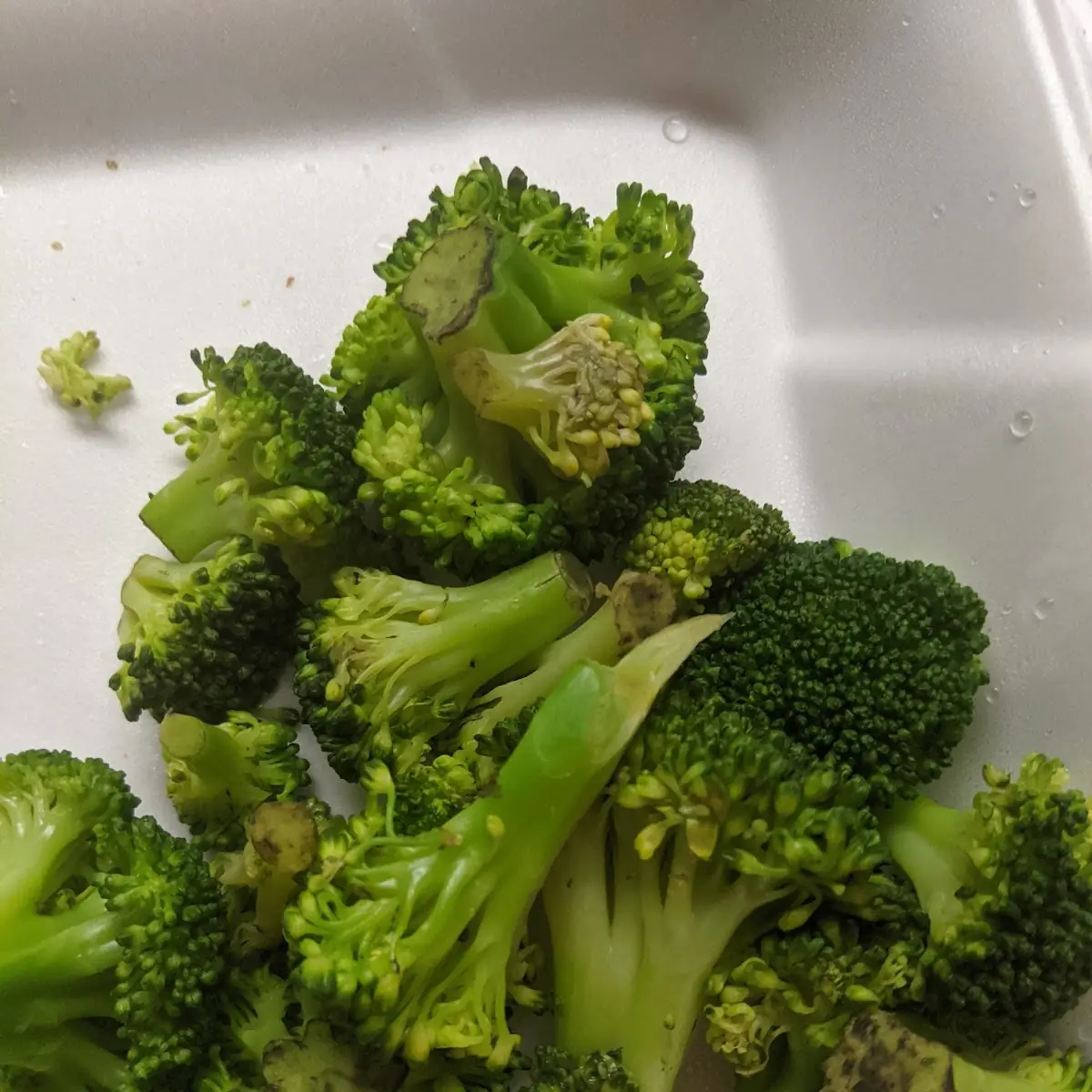 Steamed Broccoli