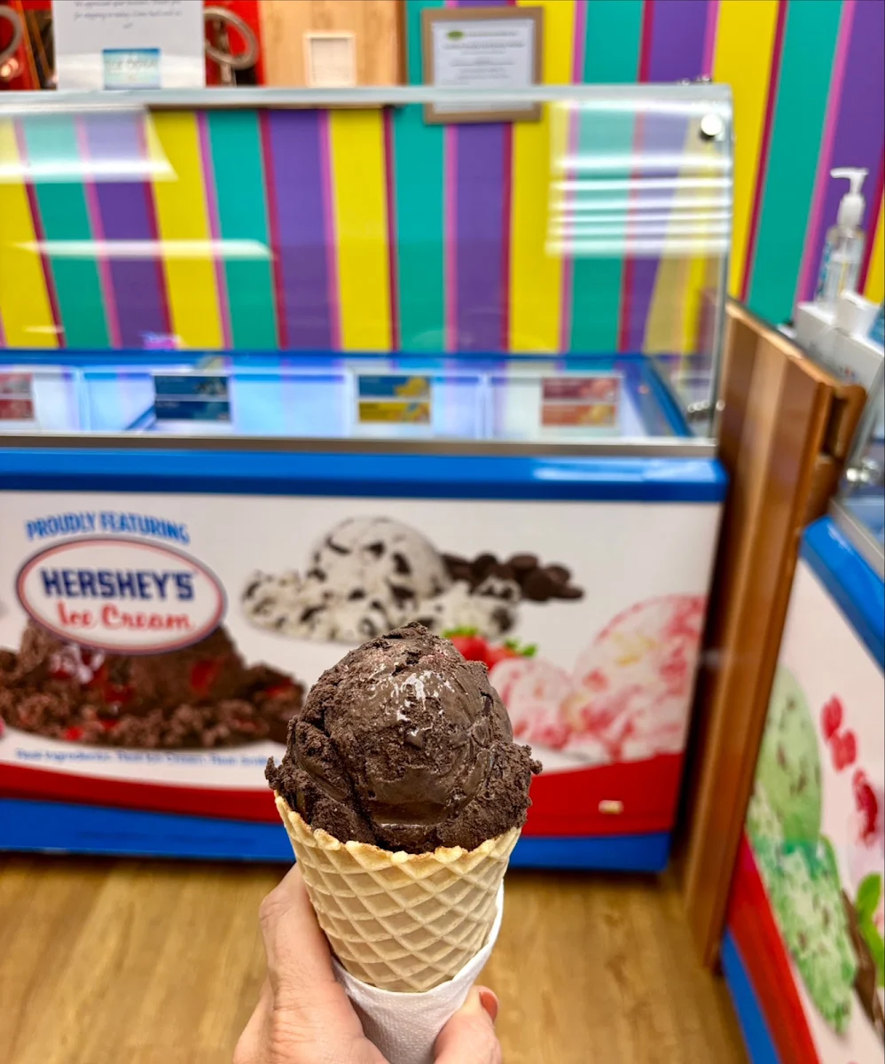 Dark Chocolate Raspberry Truffle