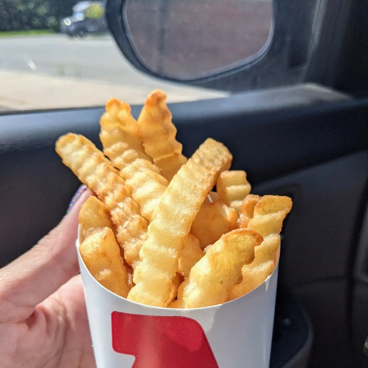 Crinkle Cut Fries