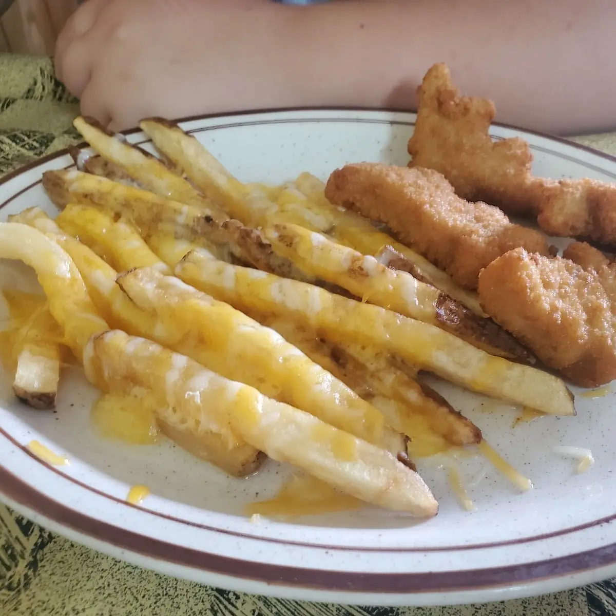Kids Chicken Nuggets Cheese Fries