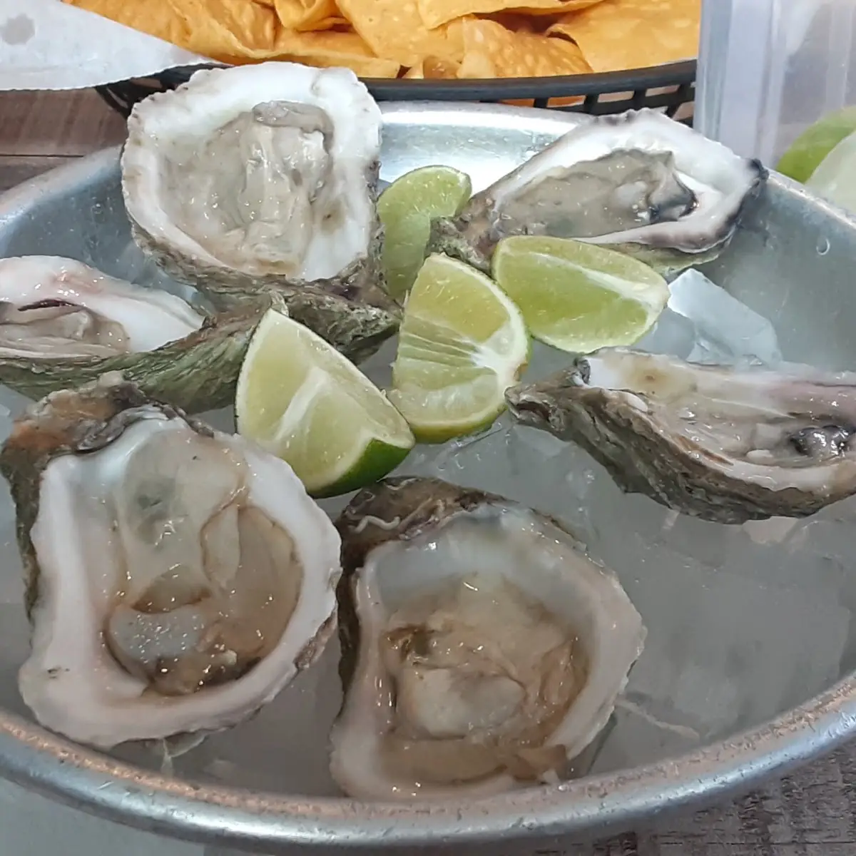 Oysters in the Half Shell
