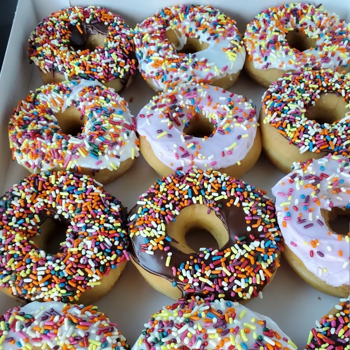 Doughnut