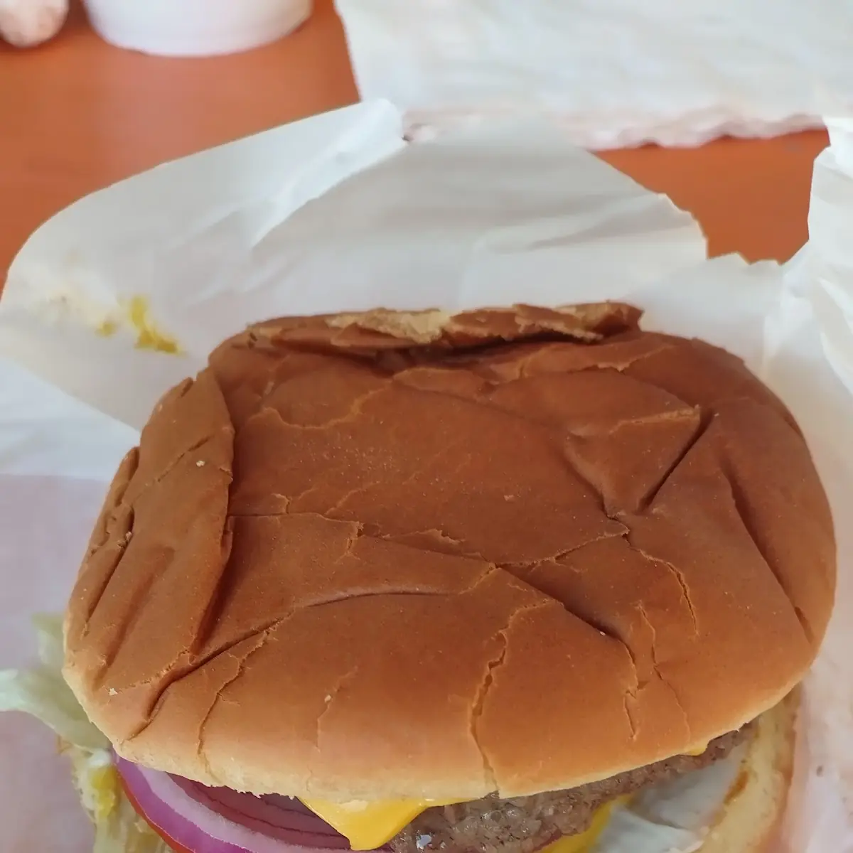 Kids Burger Ketchup Only
