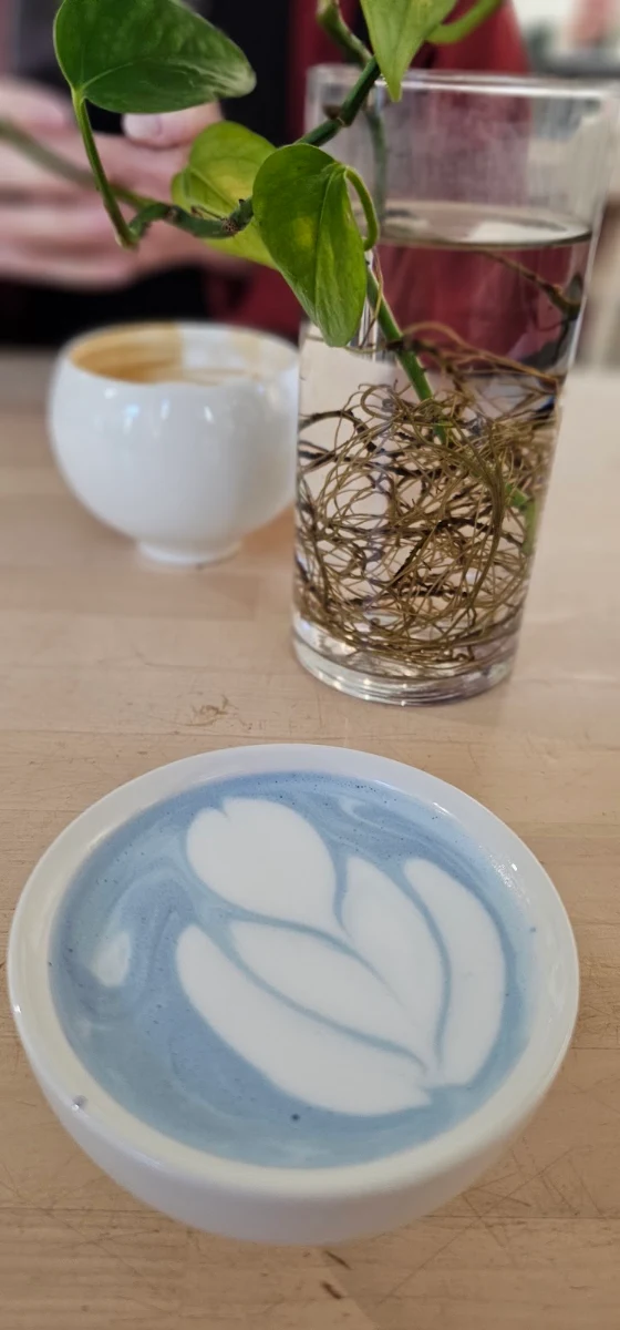 Blue Matcha Latte