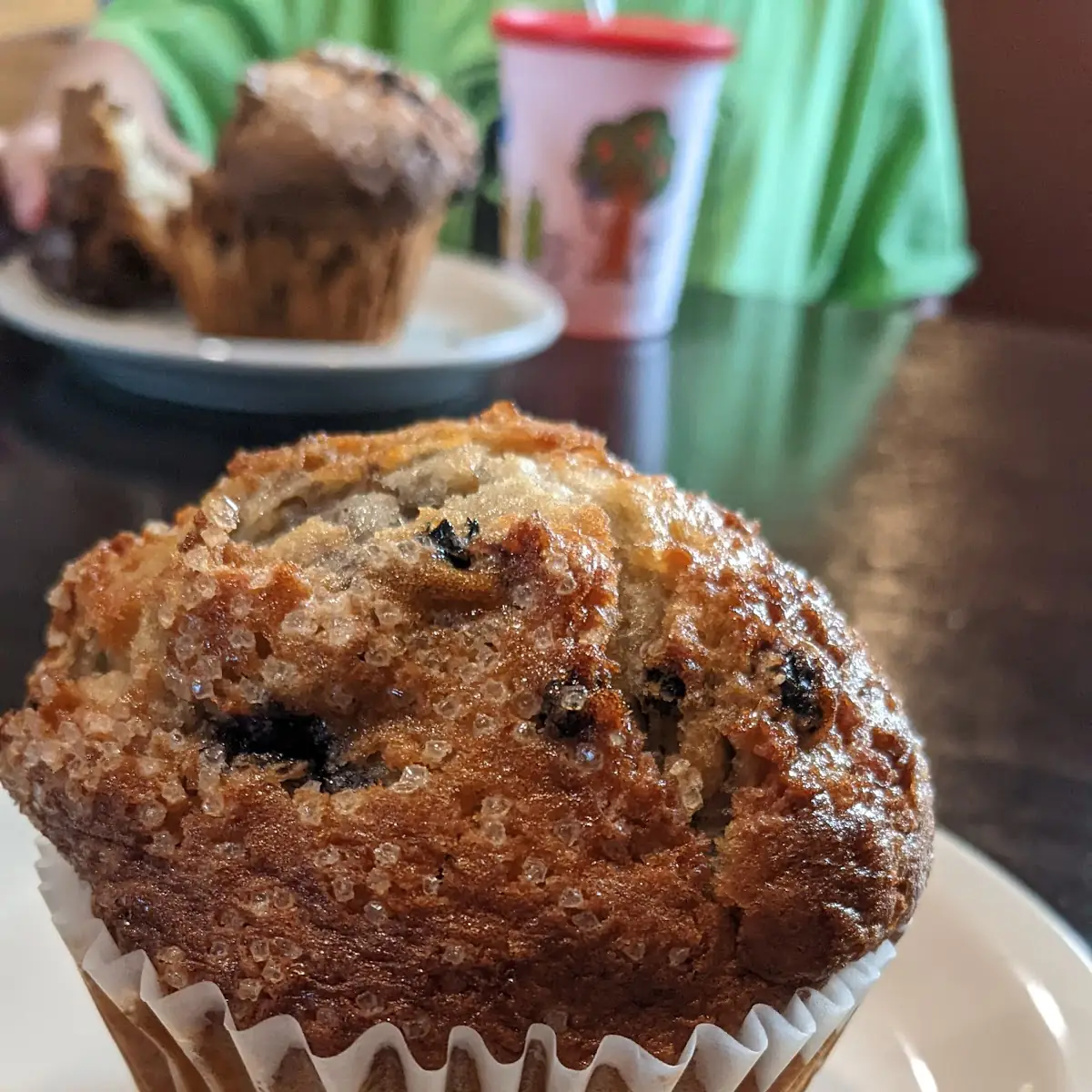 Blueberry Muffin