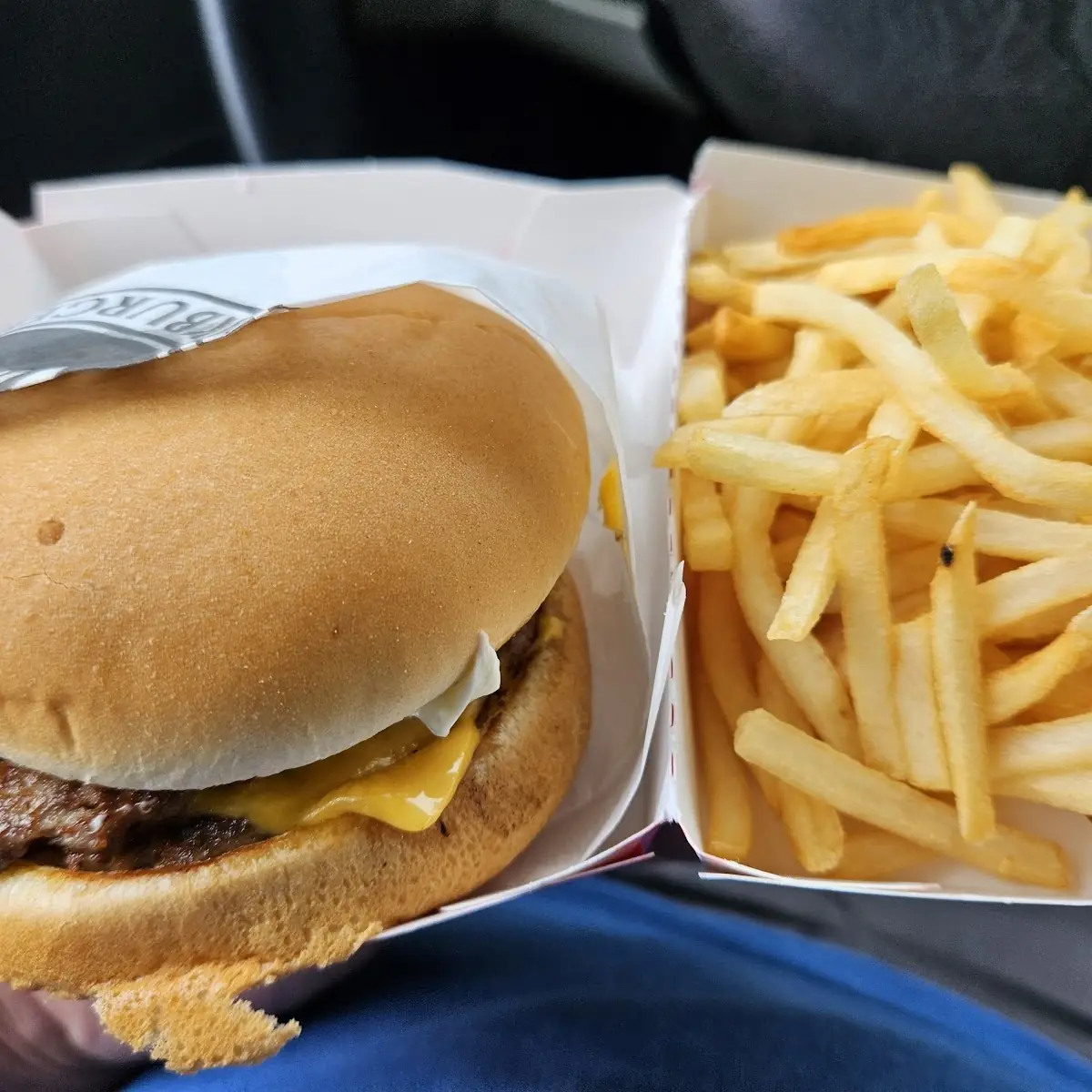 Double Cheese Steak and Fries