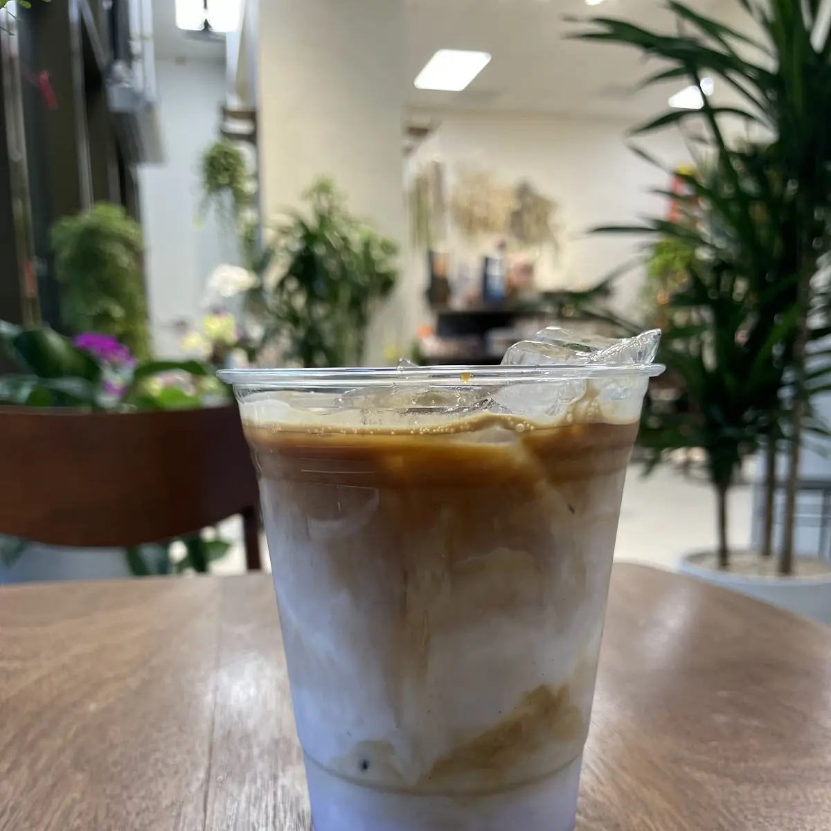 Iced Lavender Latte