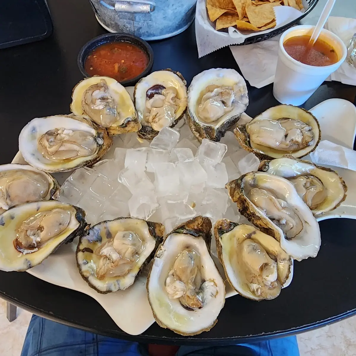 Dozen Oysters