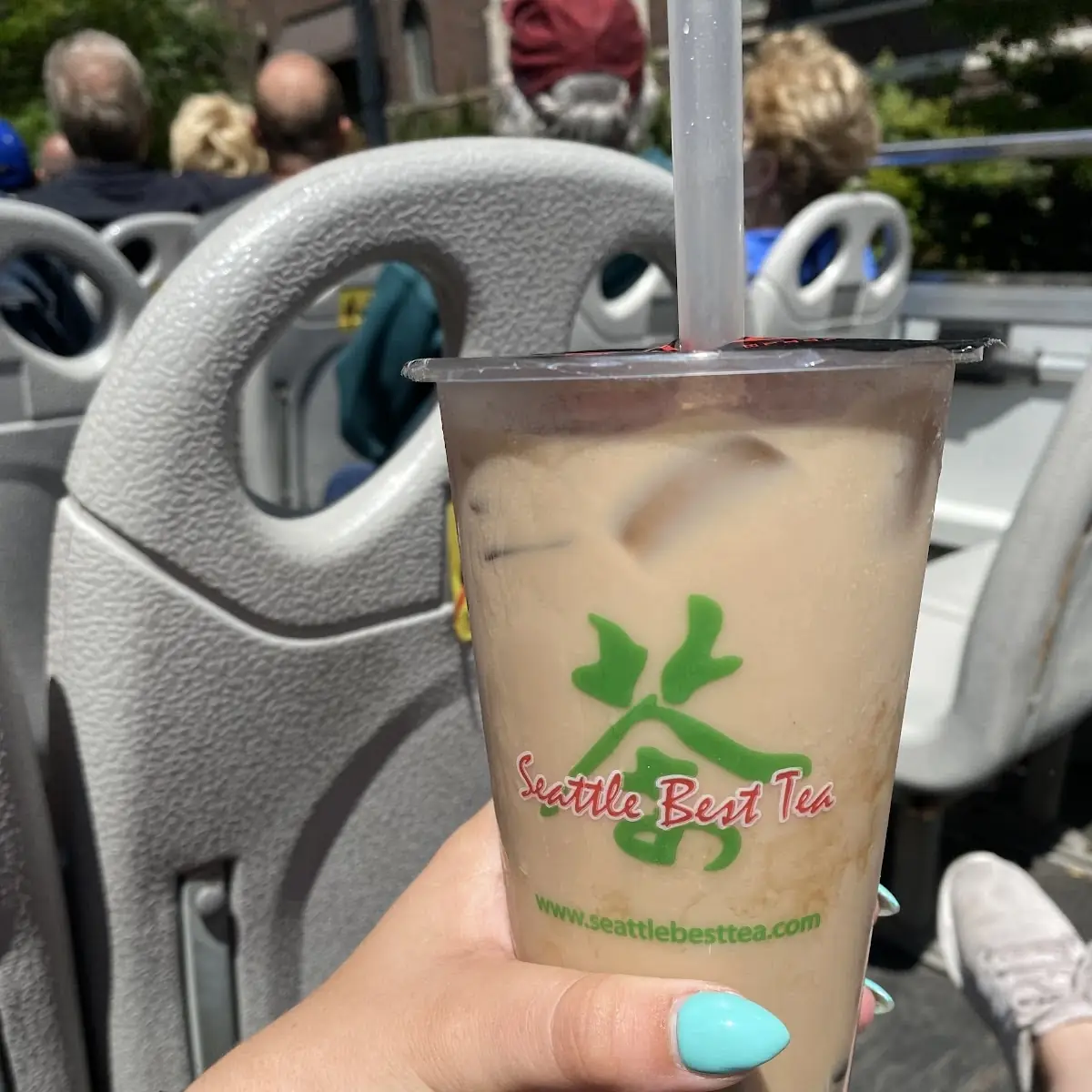 Winter Melon Milk Tea