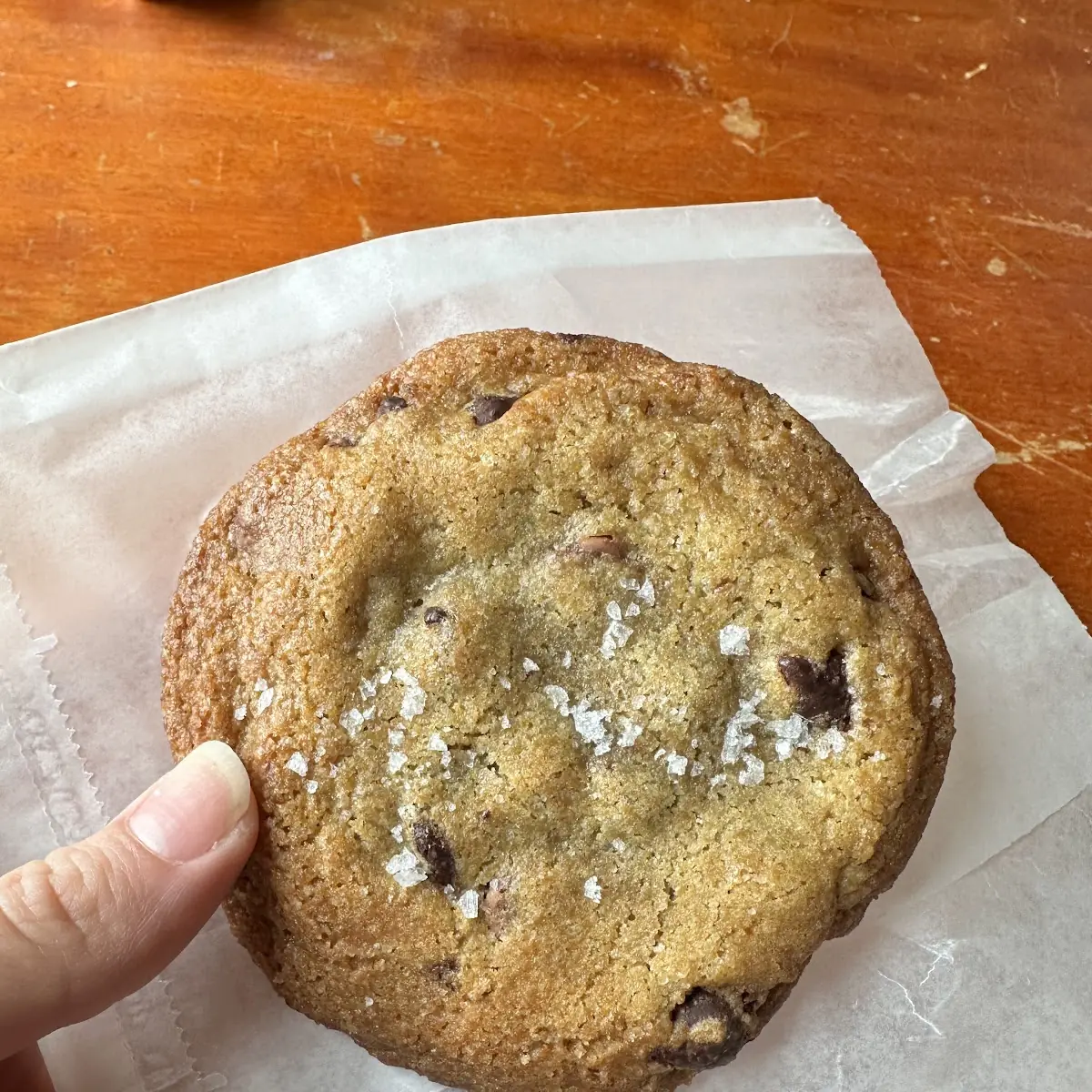 Chocolate Chip Cookie