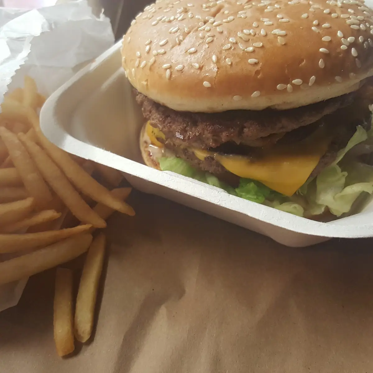 Double Bacon Burger Combo