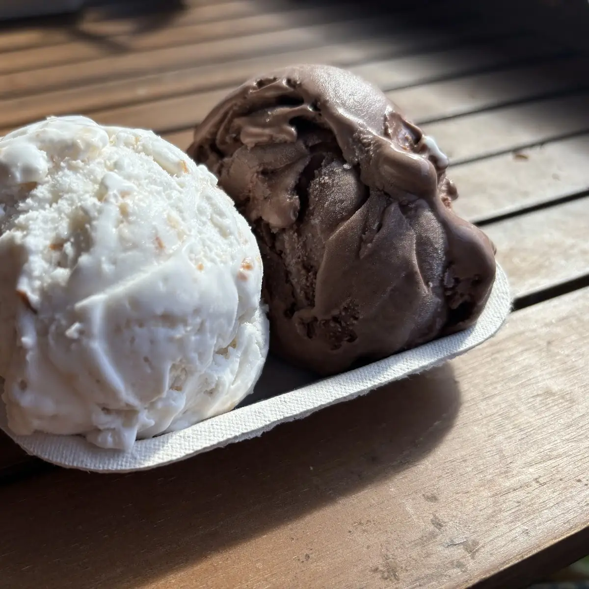 Toasted Coconut and Chocolate Vegan Ice Cream