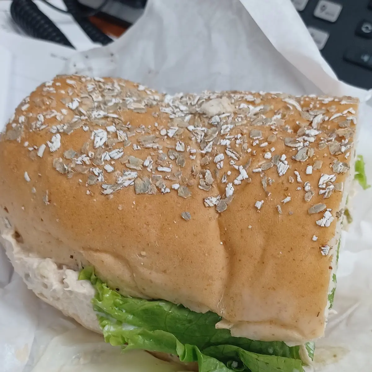 Tuna on Wheat
