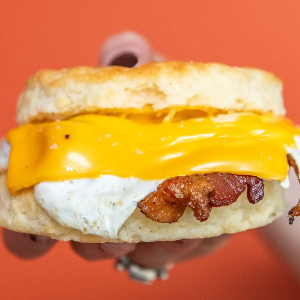 Bacon Fried Egg and Cheese Biscuit