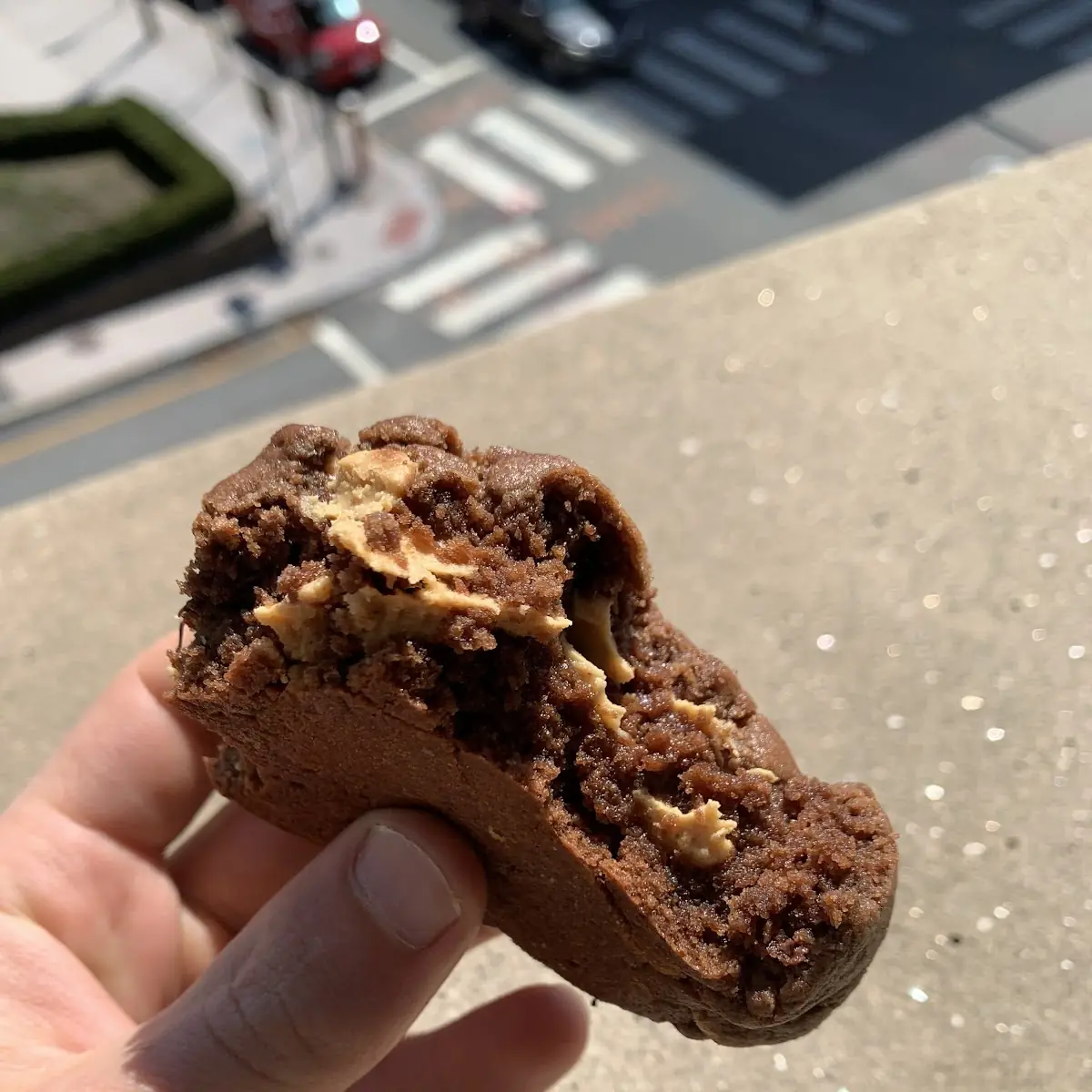Peanut Butter Chocolate Chip Cookie