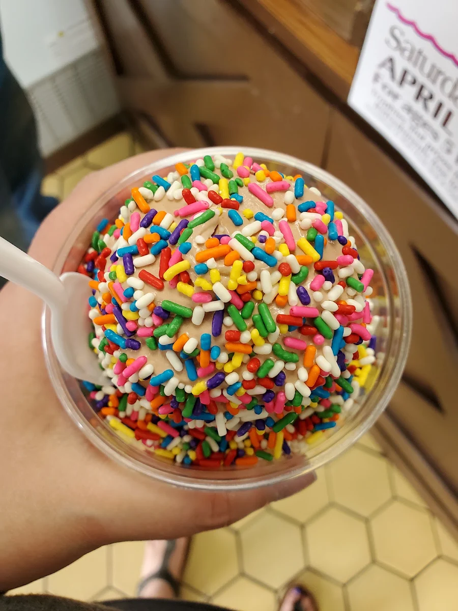 Chocolate Ice Cream with Rainbow Sprinkles