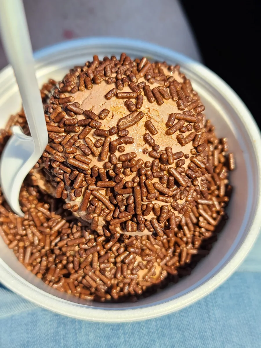 Chocolate Peanut Butter with Chocolate Sprinkles