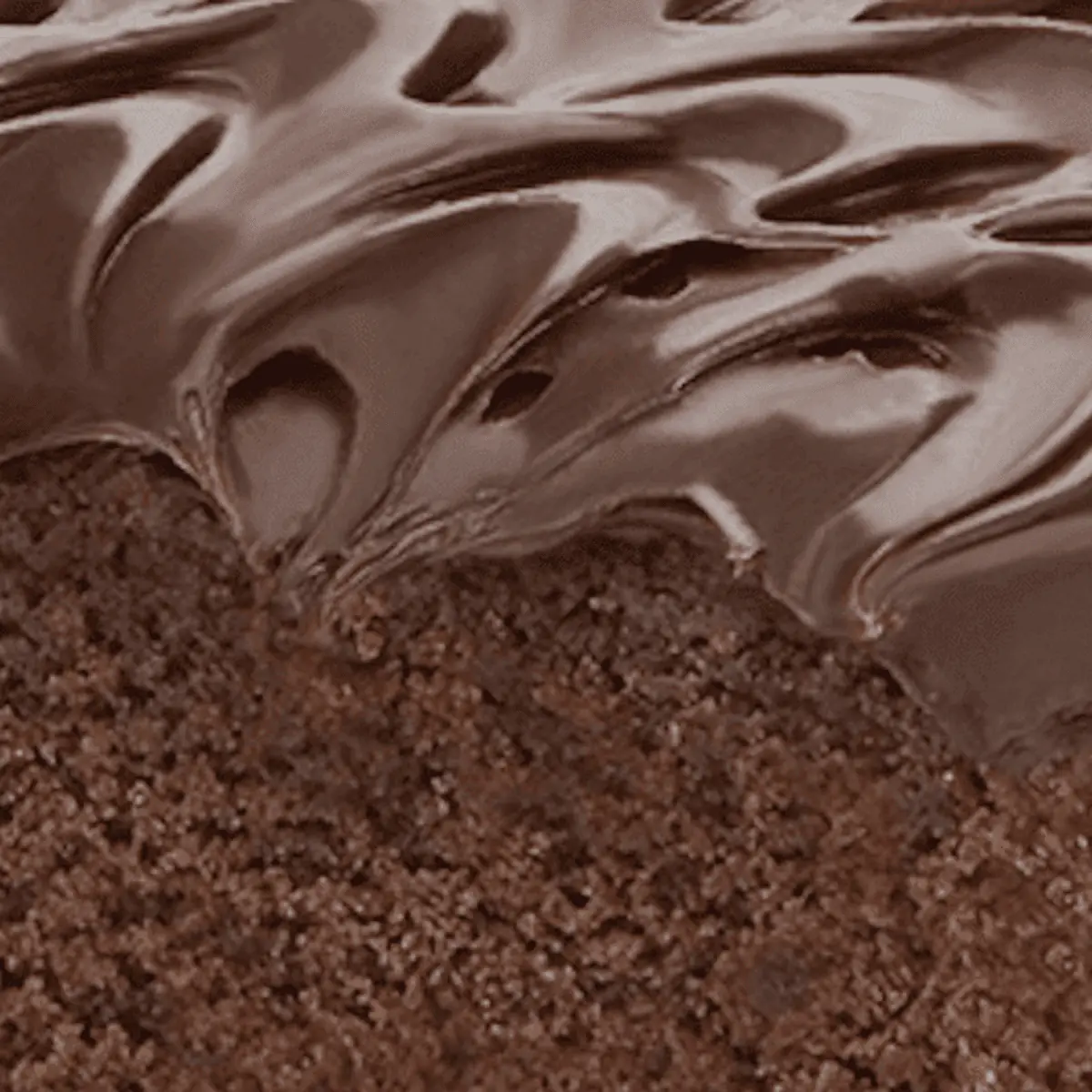 Chocolate Brownie