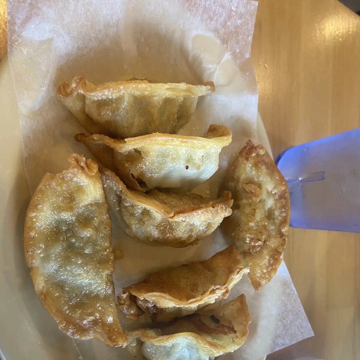 Fried Pork Dumplings