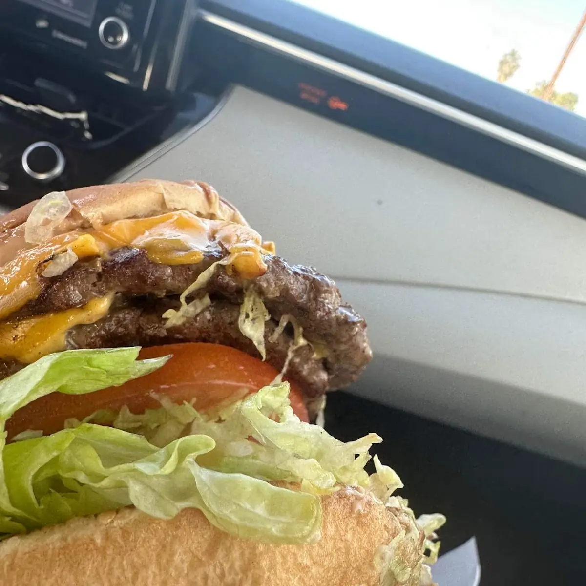 Double Cheeseburger