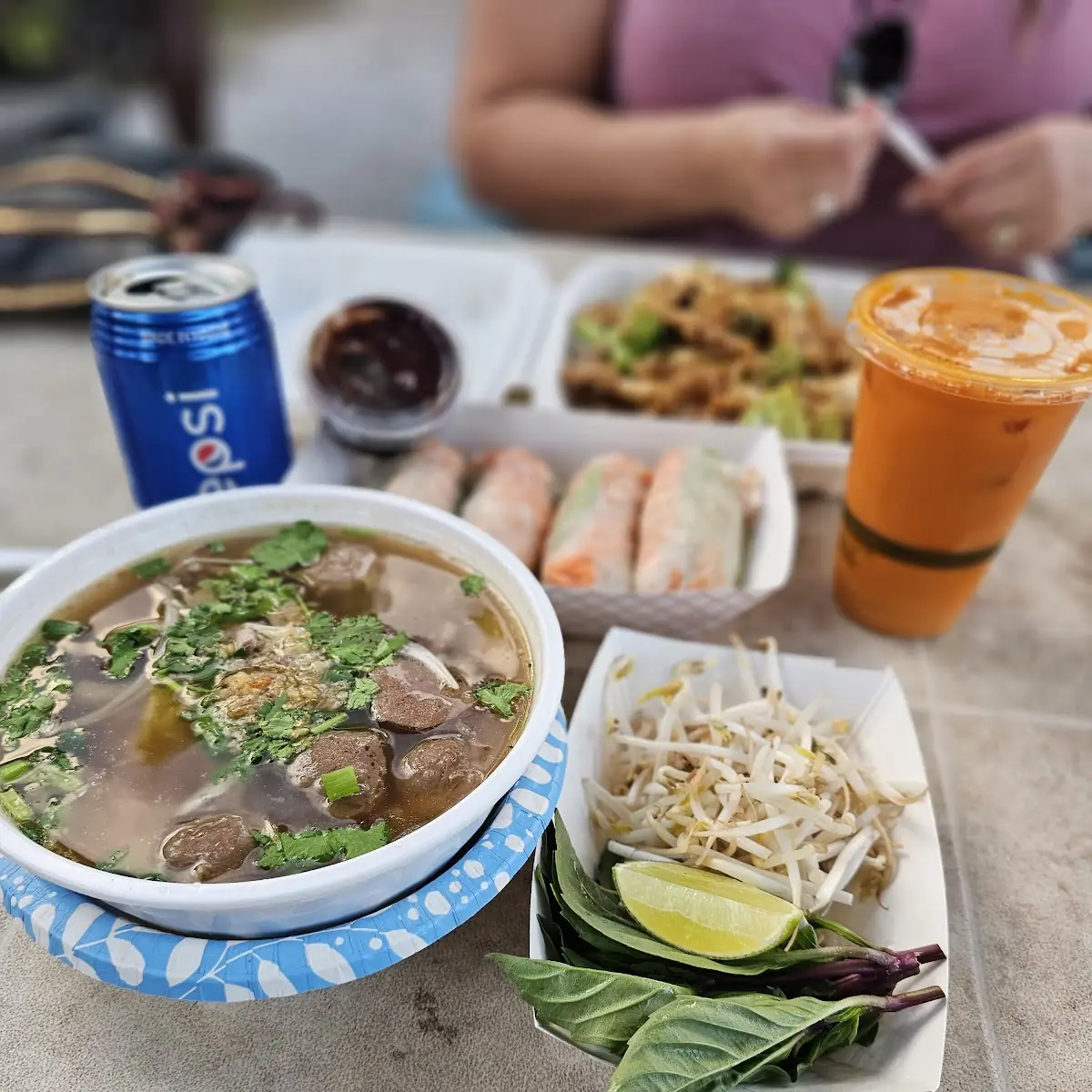 Meatball Pho and Spring Rolls