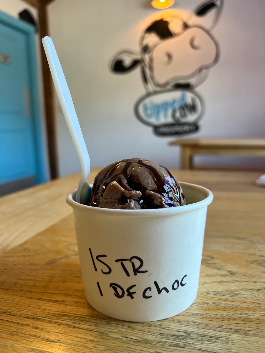 Strawberry Ice Cream with Chocolate Syrup