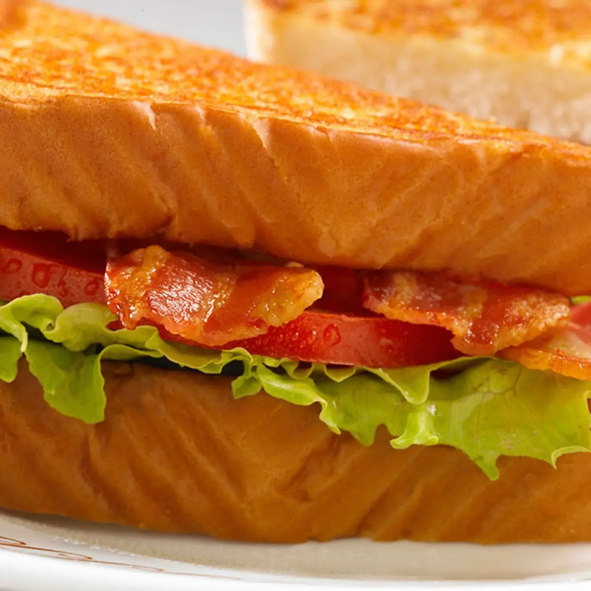 Grilled Bacon Chicken Cheese Deluxe Plate