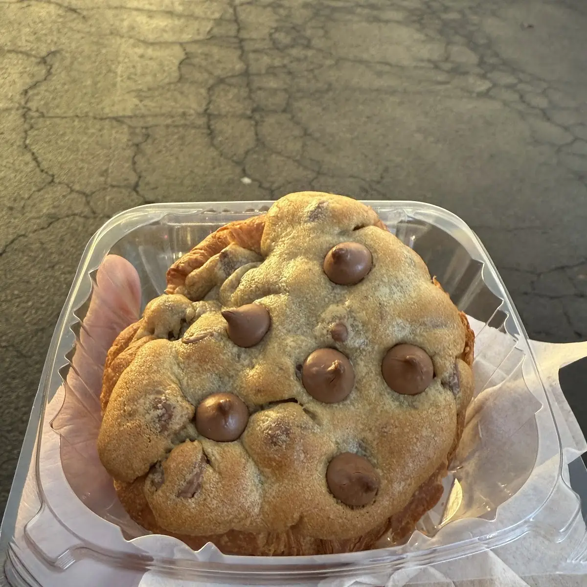 Chocolate Chip Cookie