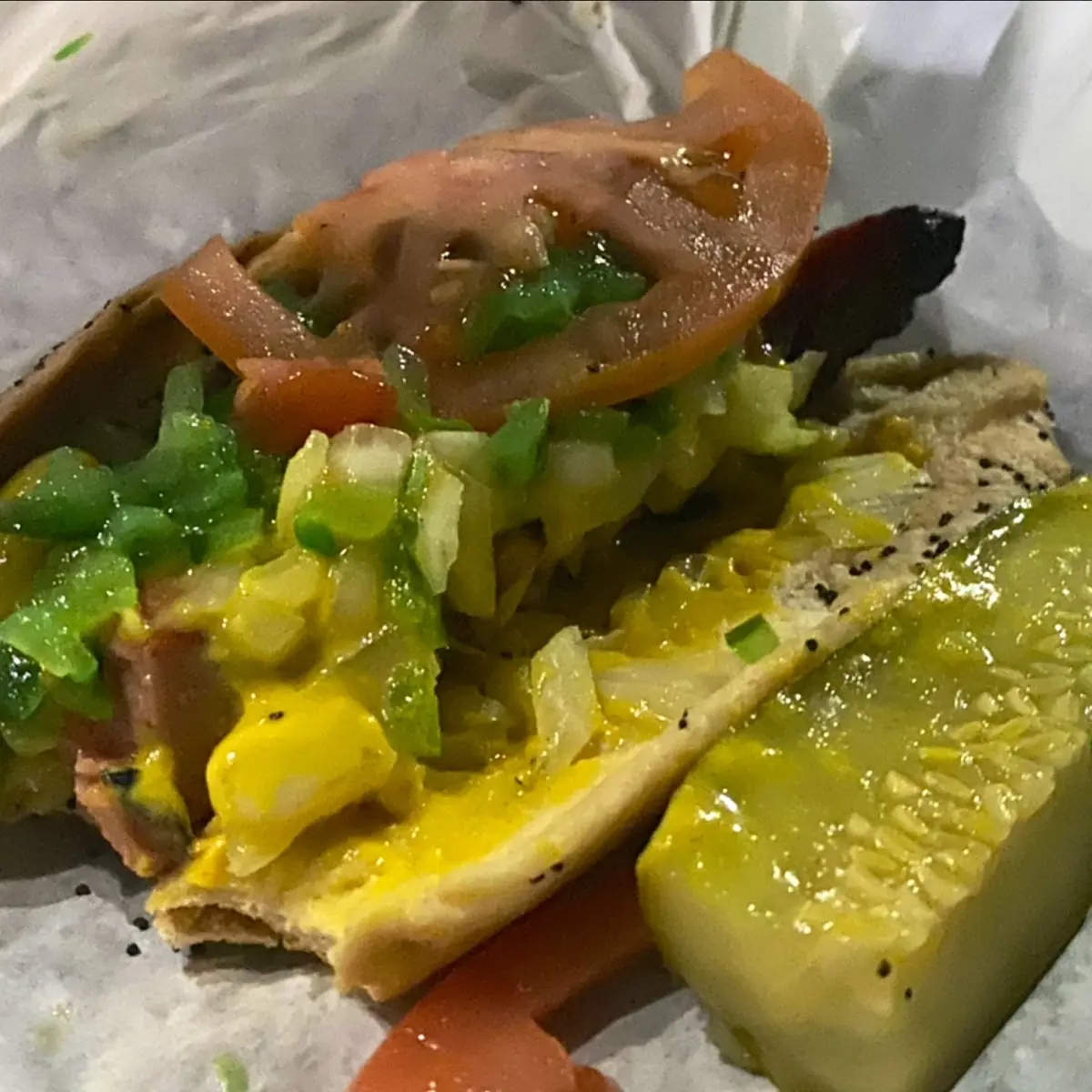 Chicago Dog