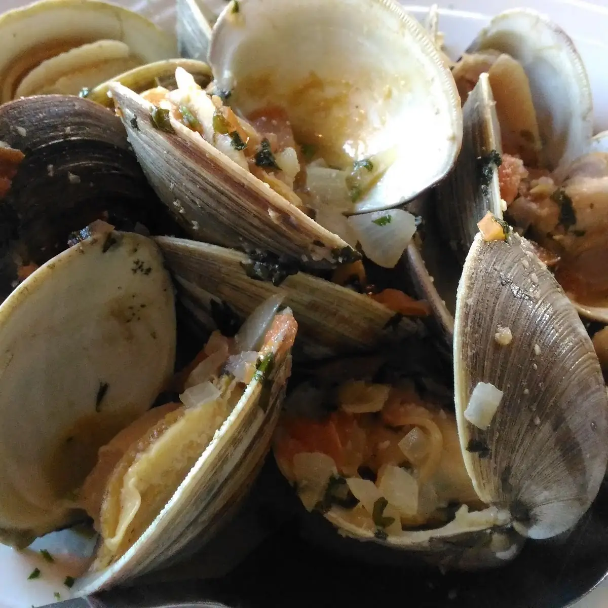 Steamed Clams