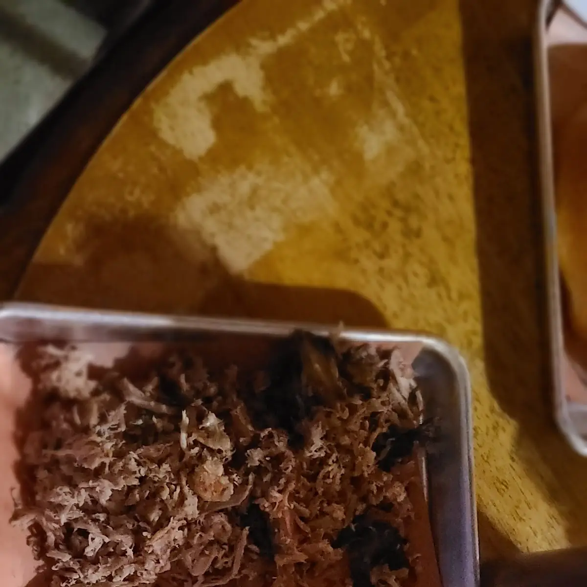 Pulled Pork Plate